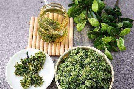 三七花的功效与作用 三七花泡水喝有什么功效能美容吗