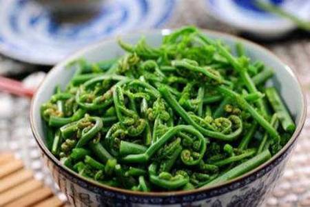 蕨菜的功效与作用 蕨菜的危害