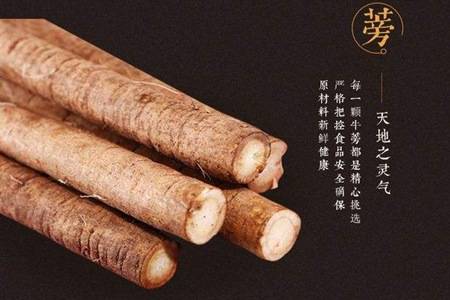 牛蒡茶的功效与作用 女人喝天然牛蒡茶轻松减肥抗衰老