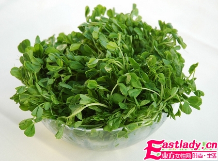 豆苗菜可消肿控油防晒