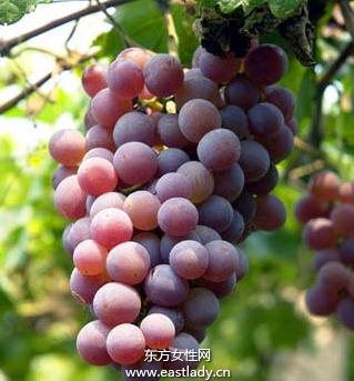 葡萄很好的补铁补血食物
