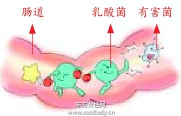 有益健康的零食