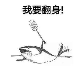 如果做一条没有梦想的咸鱼，又何必要转锦鲤