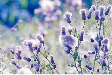 口述：我和老公总因小事吵架，甚至打架
