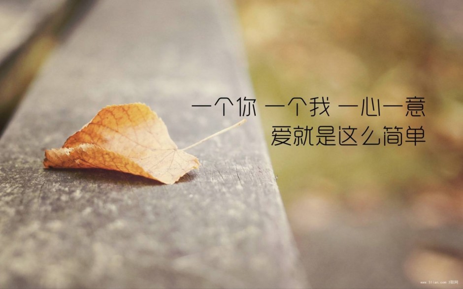 回不去的是青春，得不到的是你，一旦错过就不在（三）